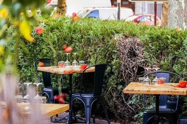 La terrasse arborée du restaurant